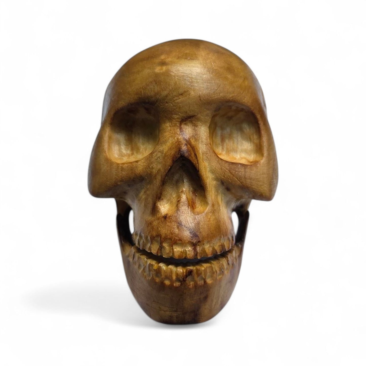 Basswood Skull