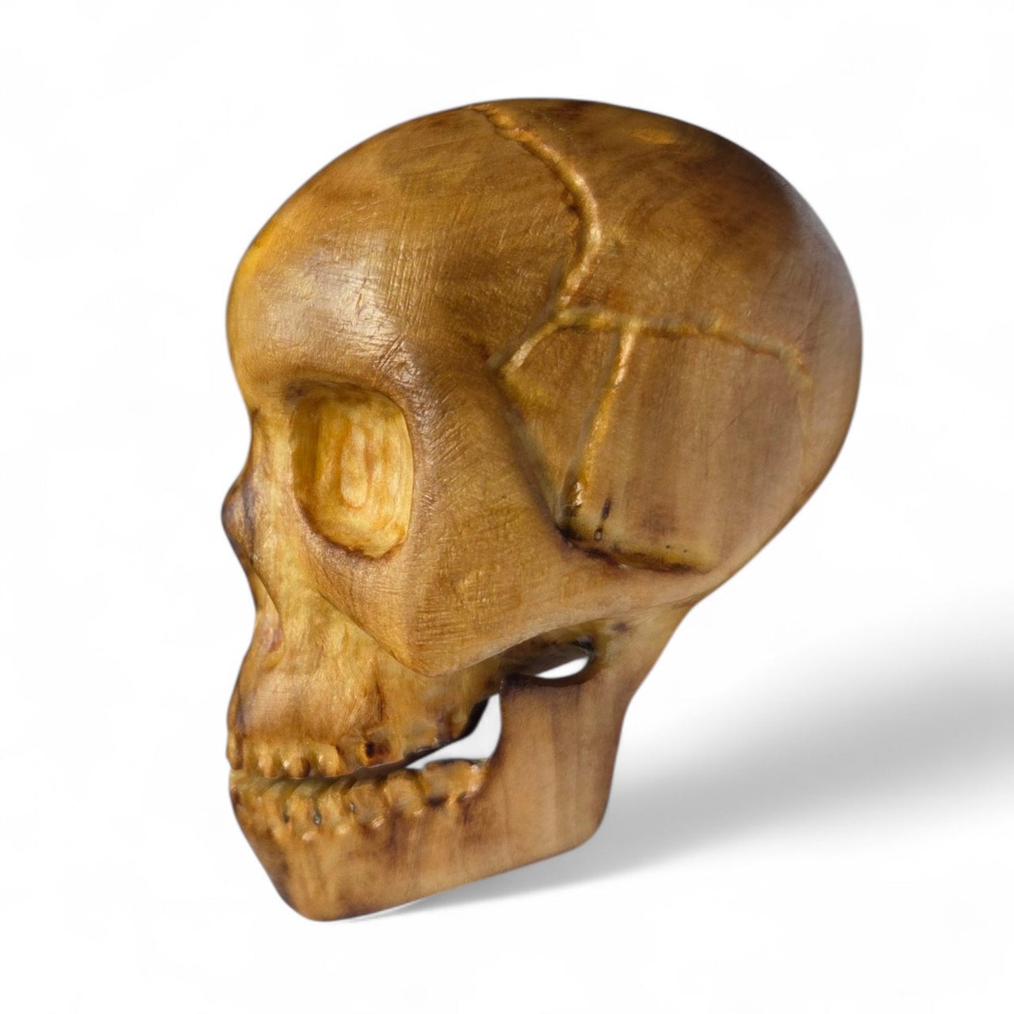 Basswood Skull