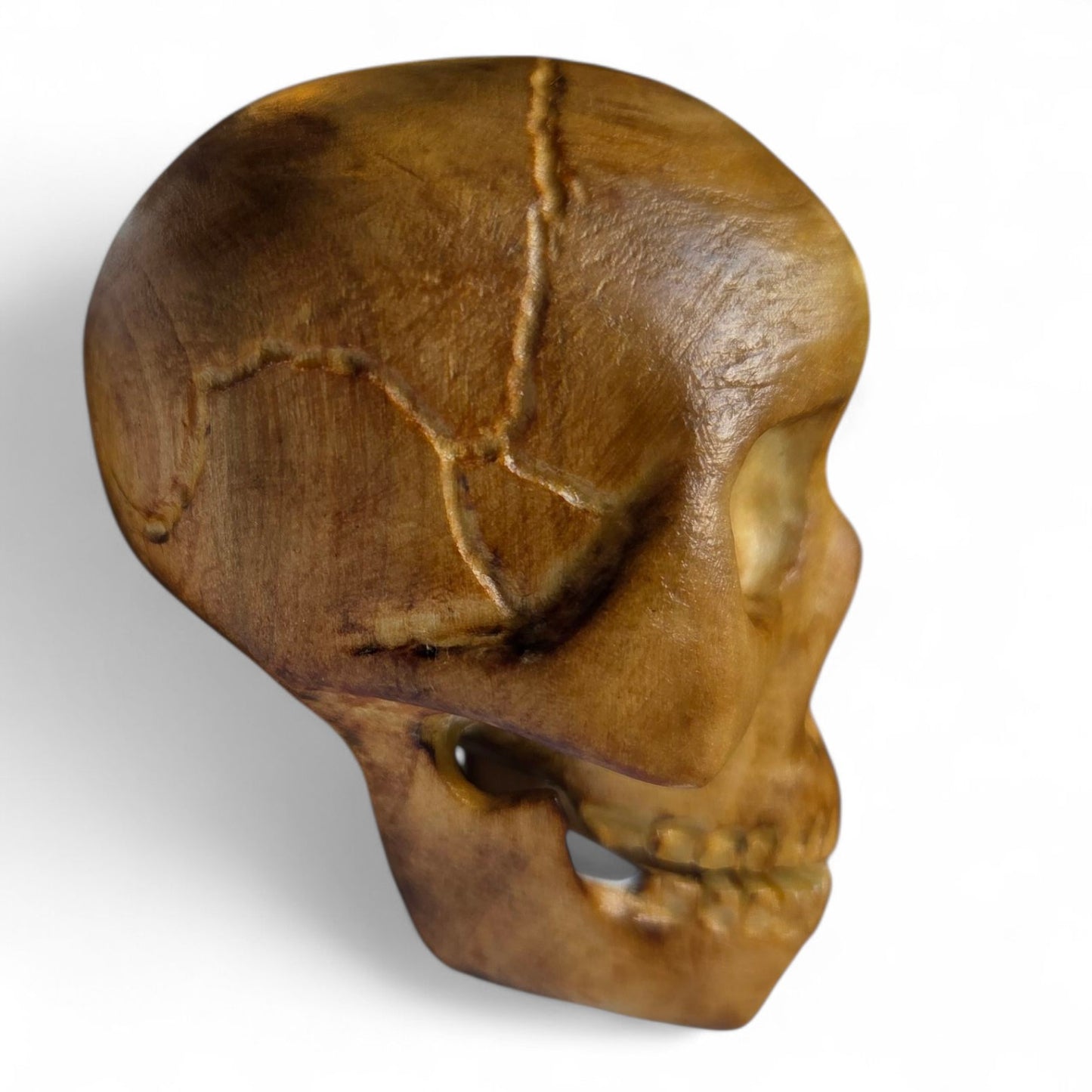 Basswood Skull