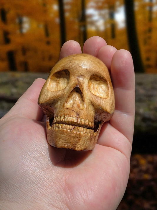 Basswood Skull