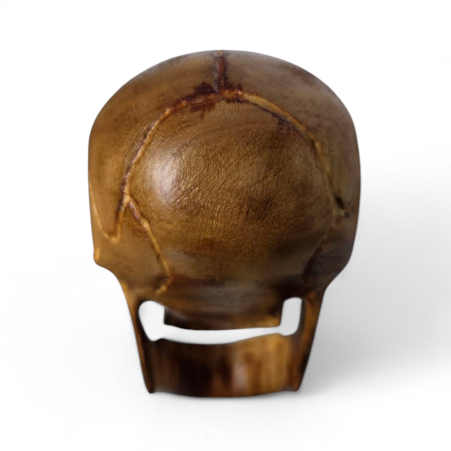 Basswood Skull