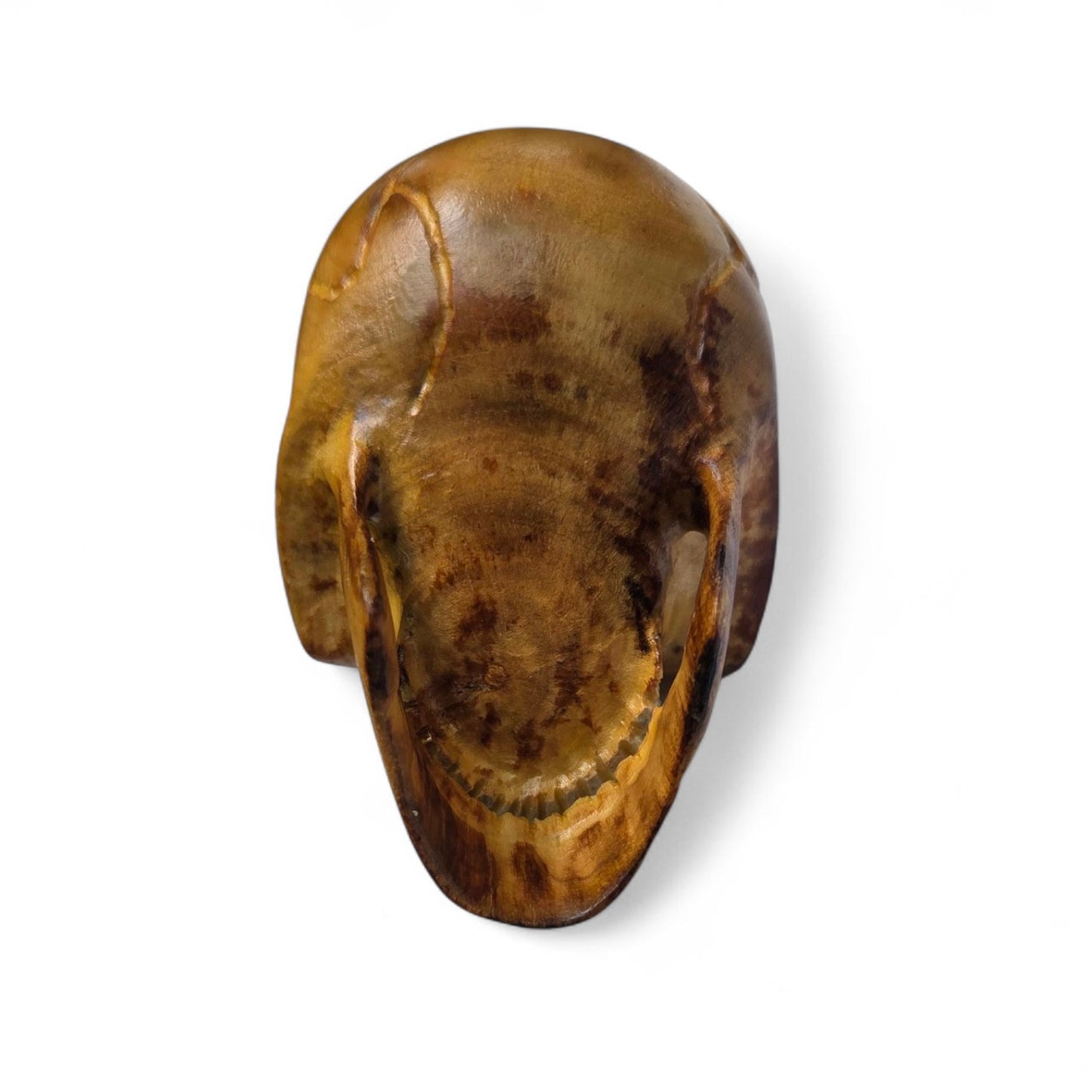 Basswood Skull