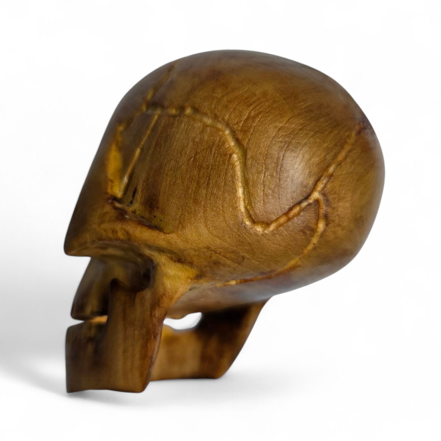 Basswood Skull