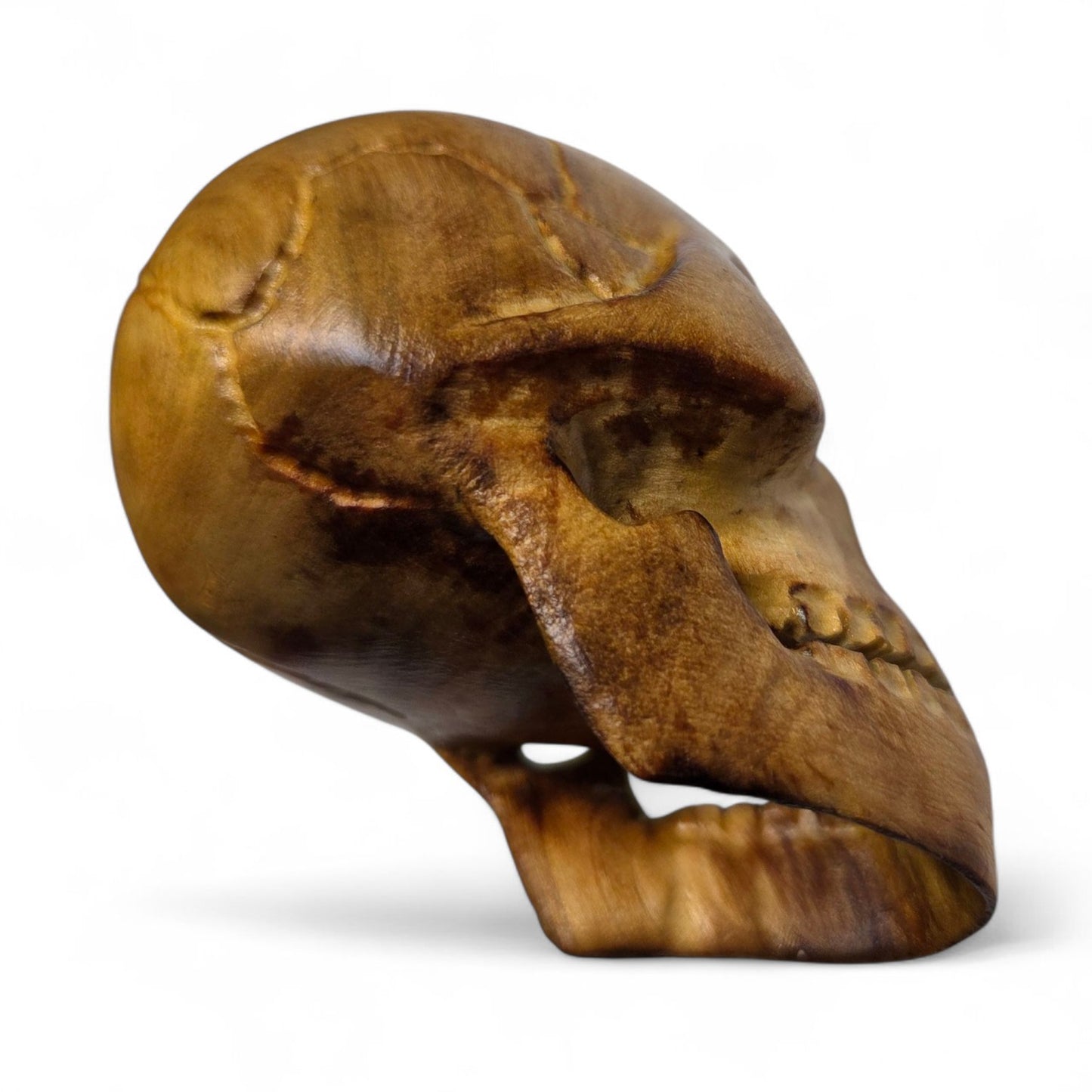 Basswood Skull
