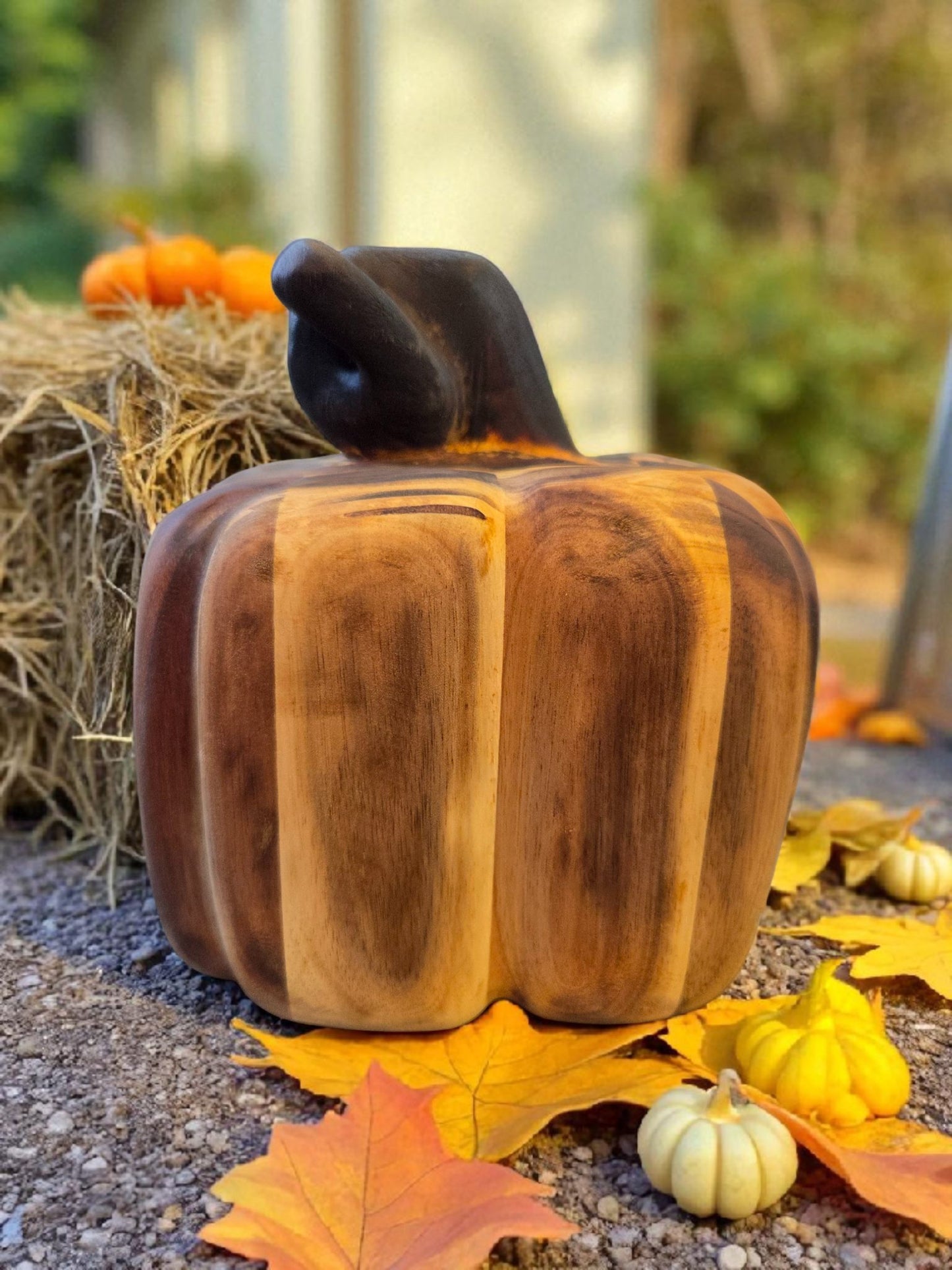 Acacia Edge Glued Pumpkin with a Burnt Stem