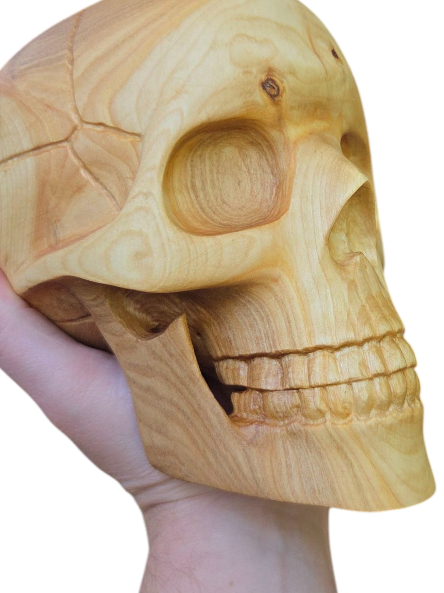 Wooden Skull