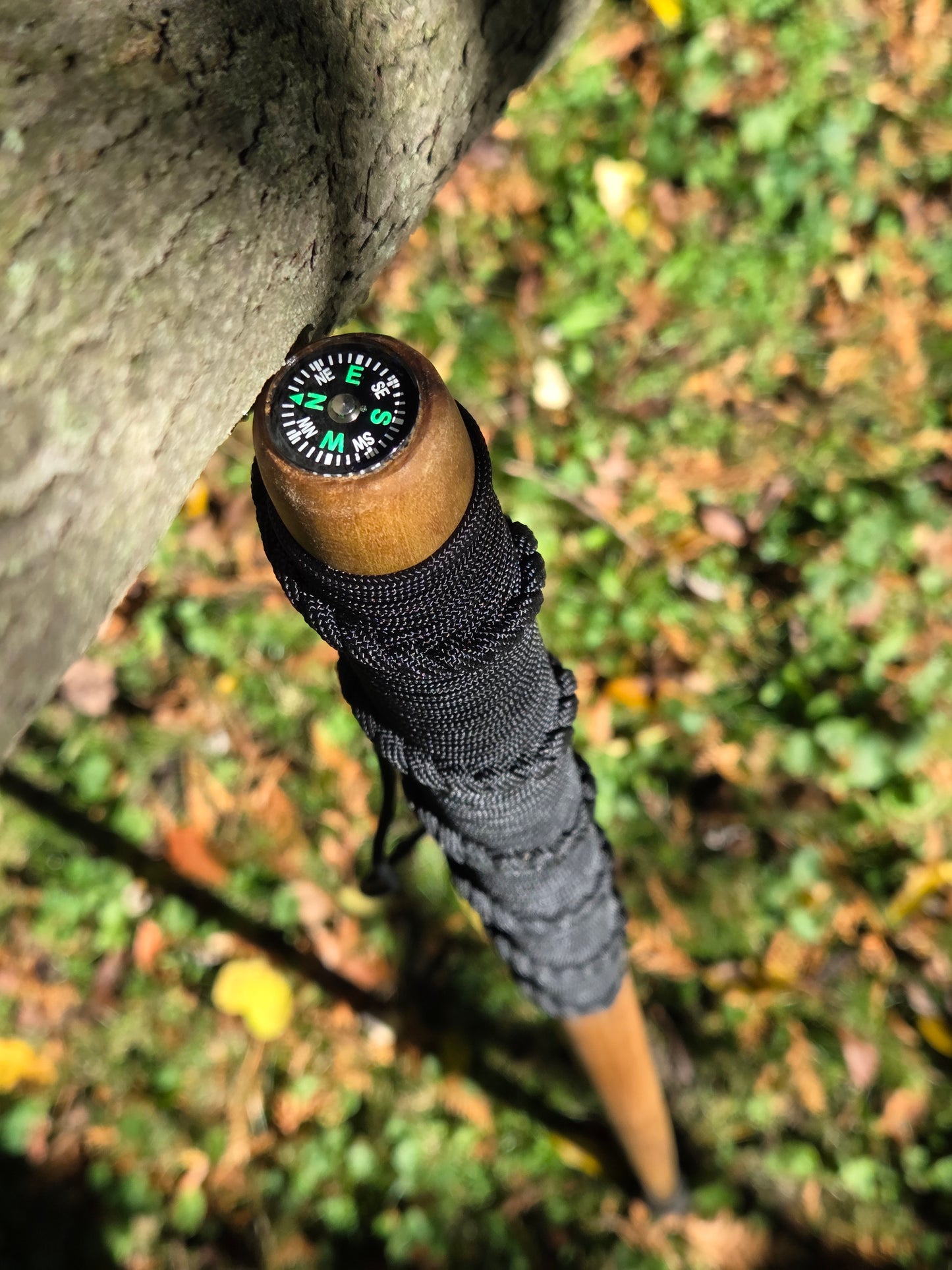 Poplar Walking Stick with Adjustable Lanyard