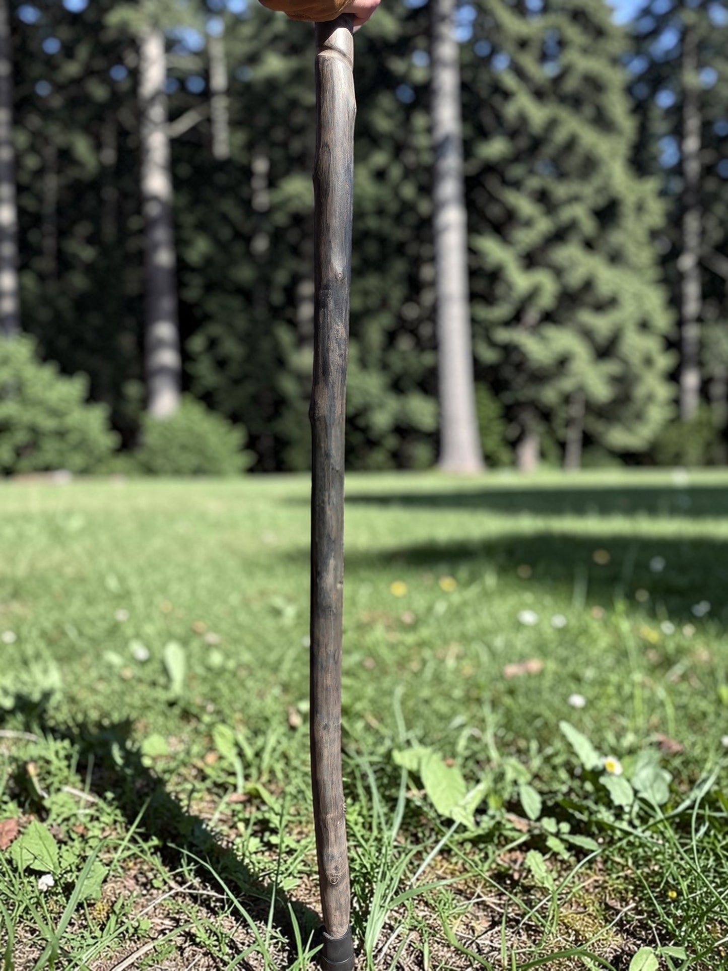 Gray Burnt Hardwood Walking Stick
