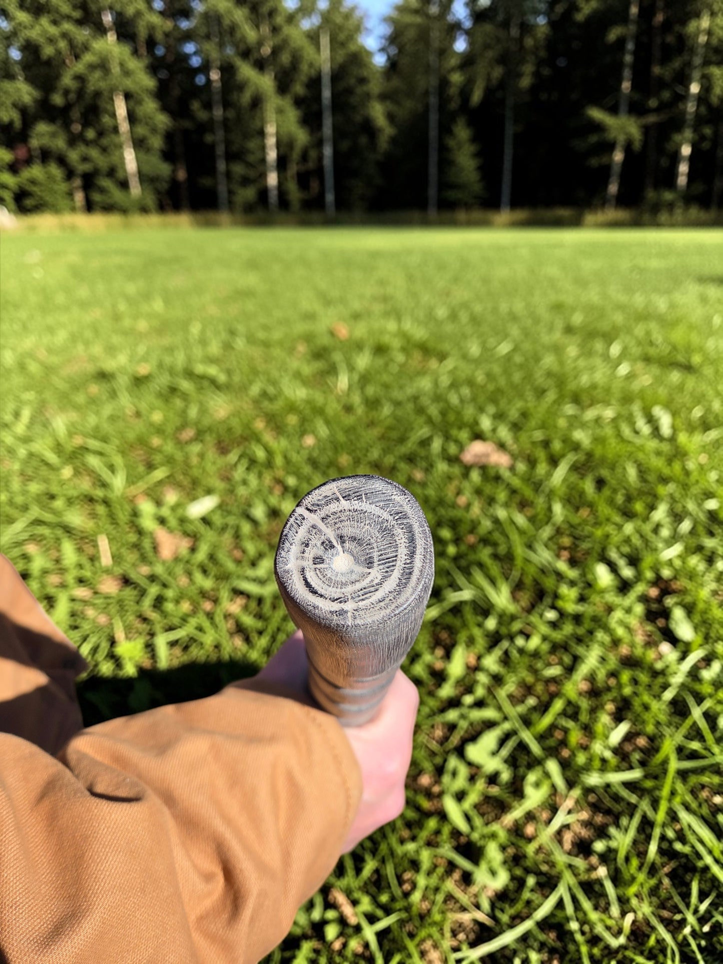 Gray Burnt Hardwood Walking Stick