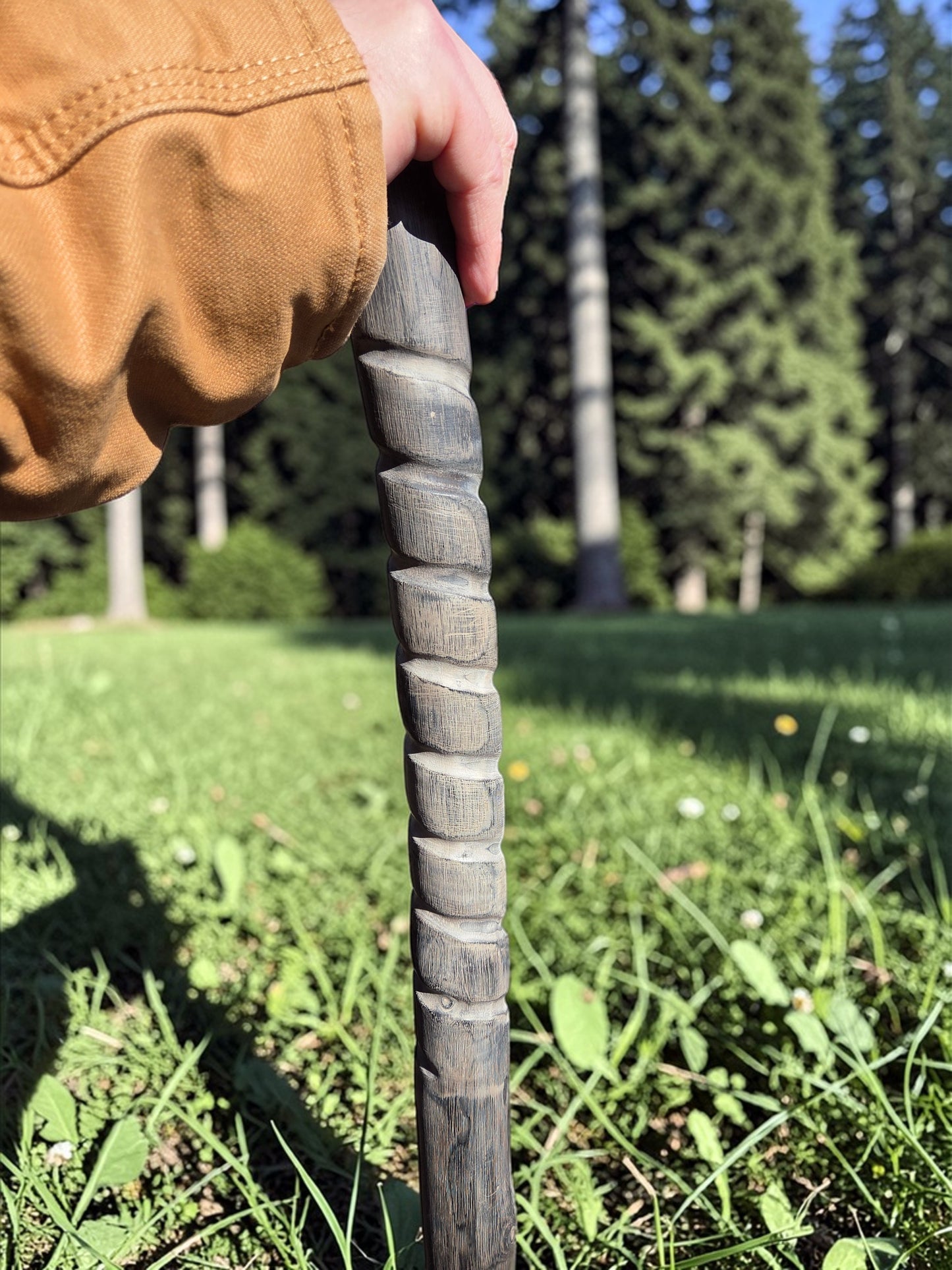 Gray Burnt Hardwood Walking Stick