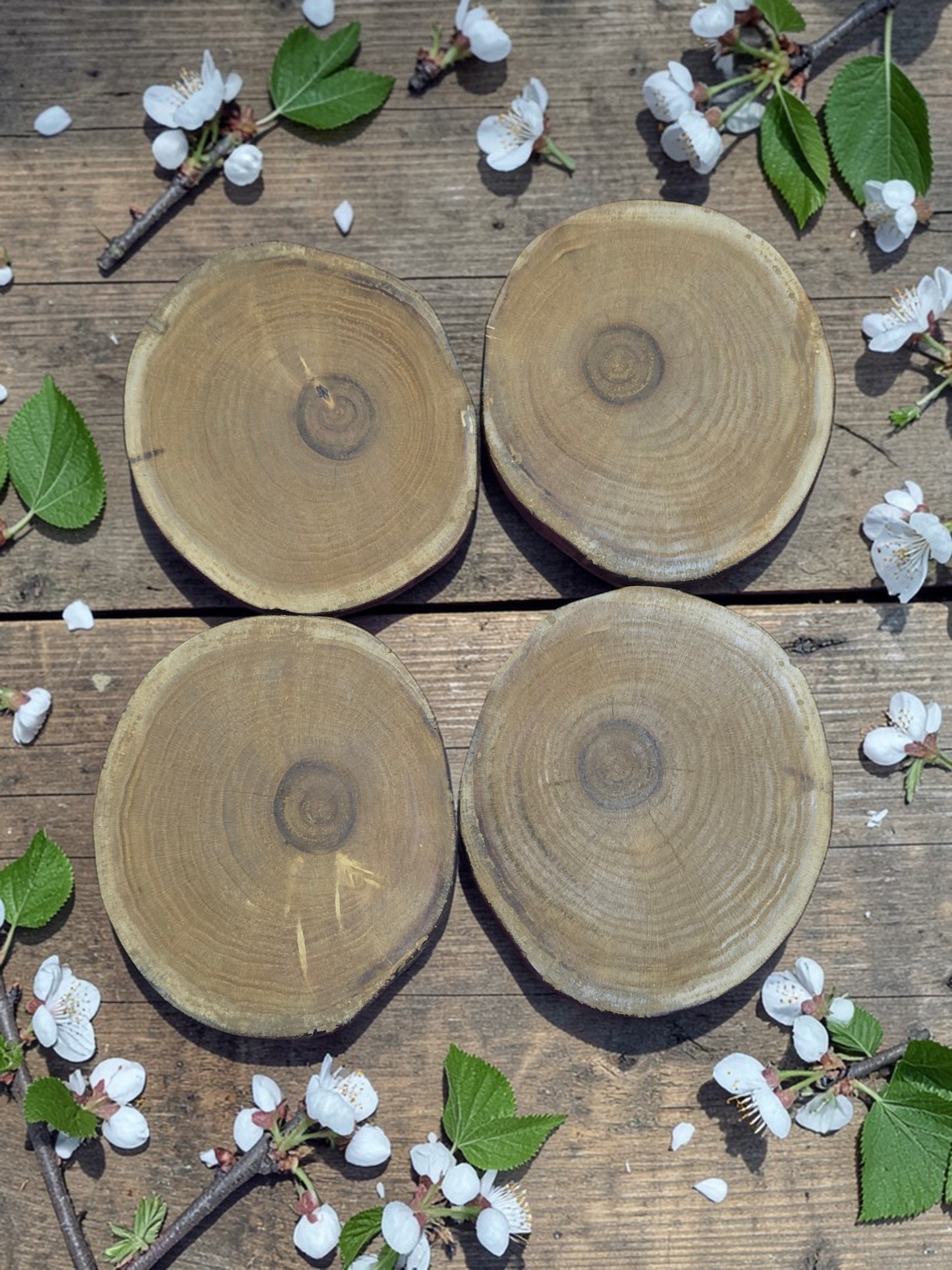 Wooden Coasters