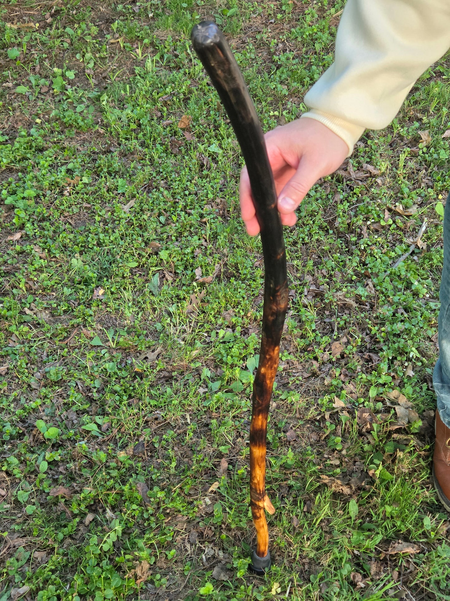 Burnt ombre walking stick