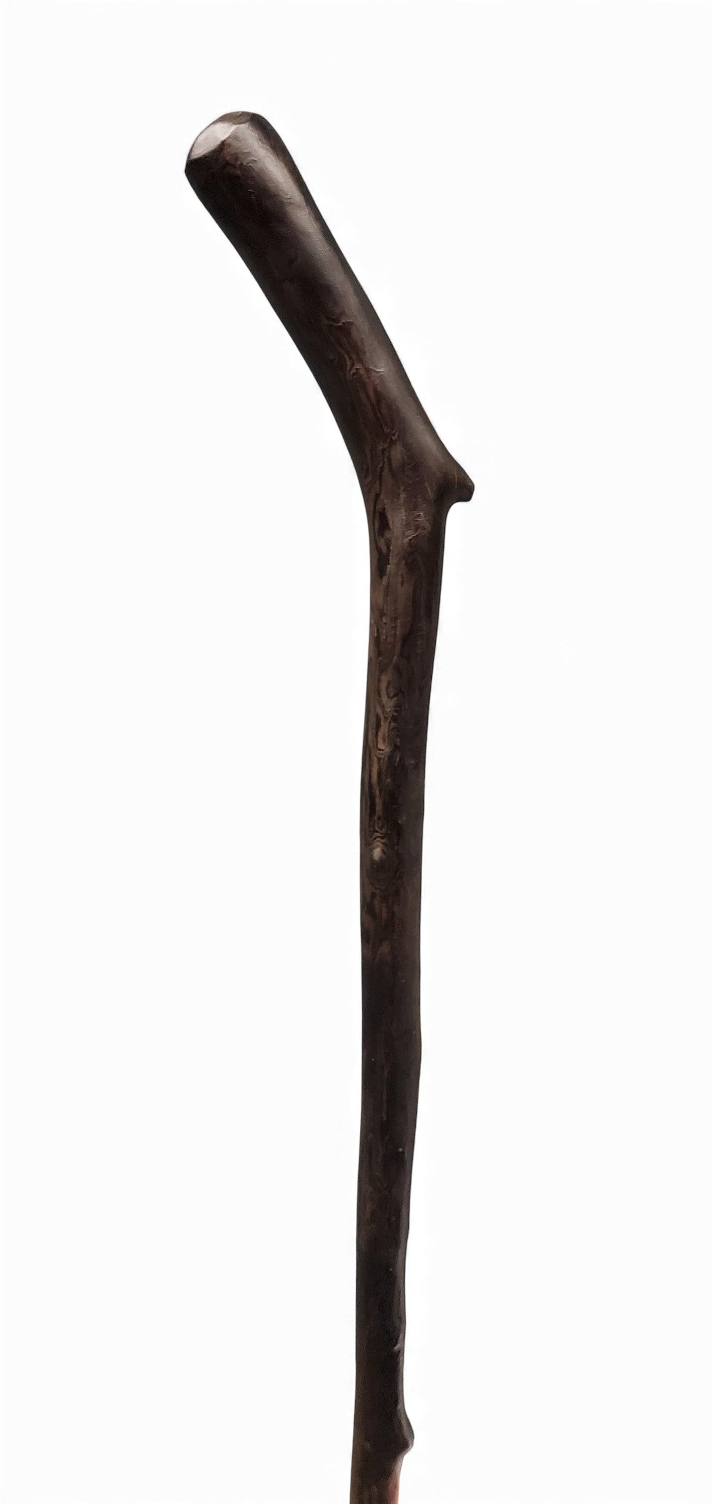 Burnt Walking Stick